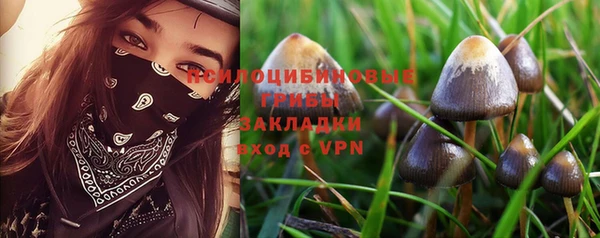 jwh Аркадак