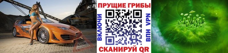 Псилоцибиновые грибы мицелий  магазин  наркотиков  Инта 